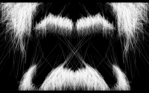 poilus 2 - ebauches du midi