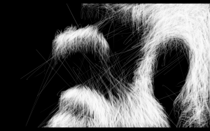 poilus 1 - ébauches du midi