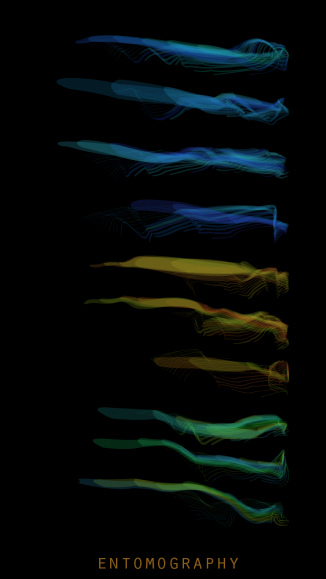 entomography
