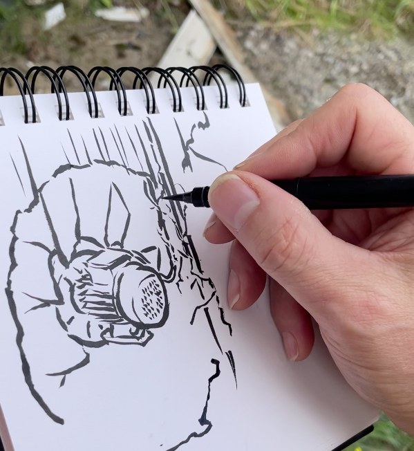 capture speedDrawing